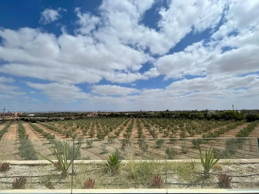 Villa Di 550 Mq Con 4 Camere Piscina E Terrazza Panoramica 马拉喀什 摩洛哥